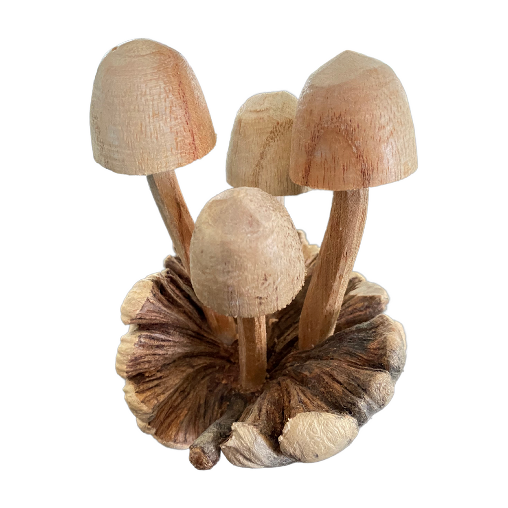 Bali Magic Mushroom cluster wood carving parasite wood