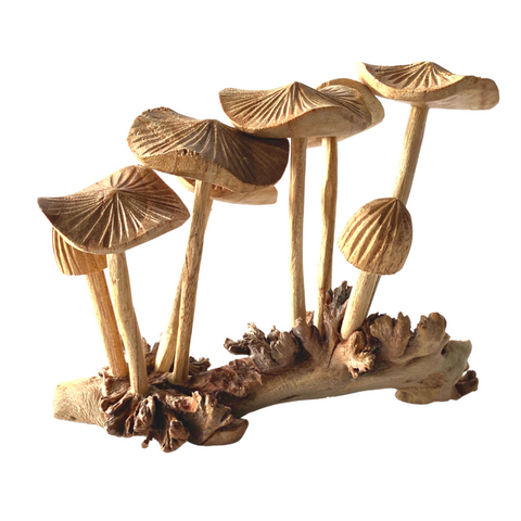 Magic Meanie Mushroom Fungi Carving Parasite Wood Bali Art Sculpture hand carved