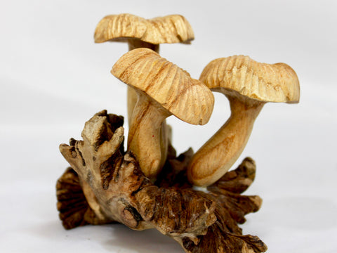 Magic Bali Mushroom toadstool Statue Parasite Wood Carving