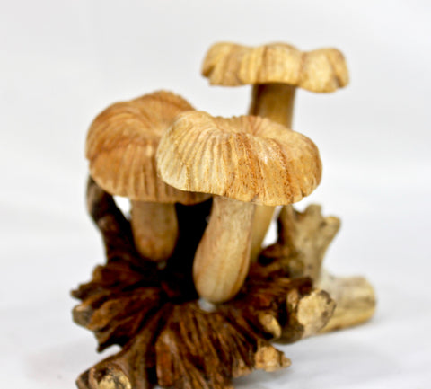 Magic Bali Mushroom toadstool Statue Parasite Wood Carving - Acadia World Traders