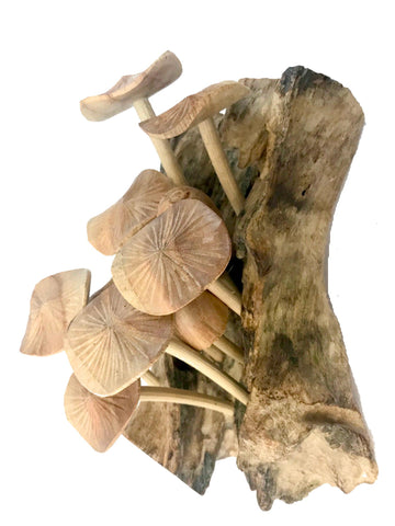 Magic Bali Mushroom Fungi Wall art sculpture Hand Carved Wood Balinese Art - Acadia World Traders